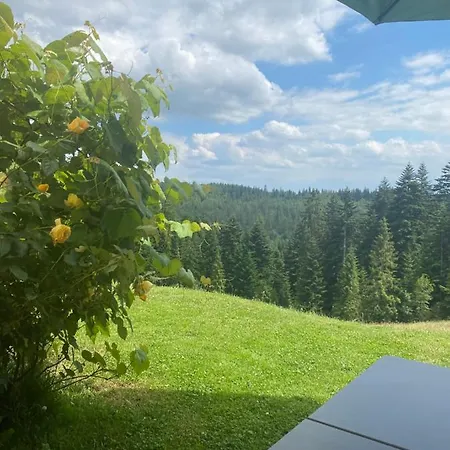 W Gorach Gorce Apartment