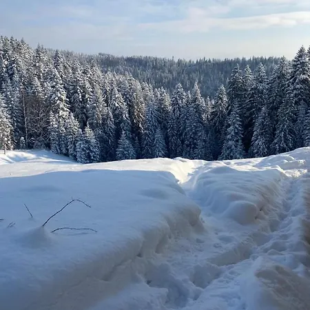 W Gorach Gorce Daire