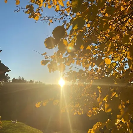 W Gorach Gorce Appartement