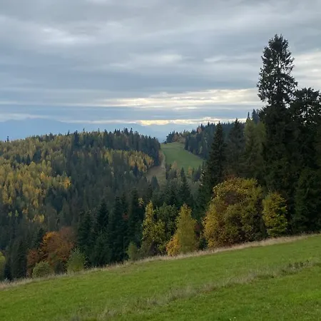 Daire W Gorach Gorce *