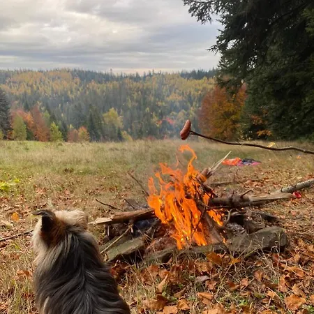 W Gorach Gorce * Nowy Targ