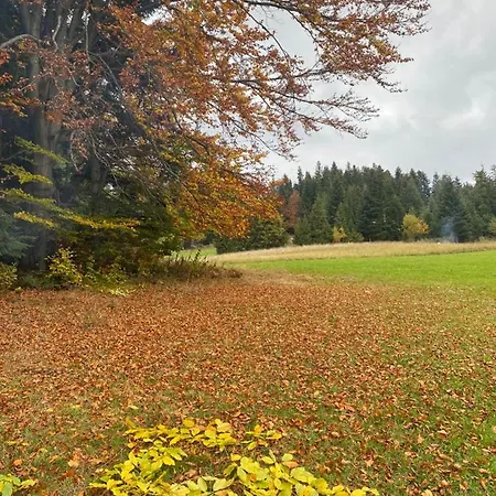 Appartement W Gorach Gorce