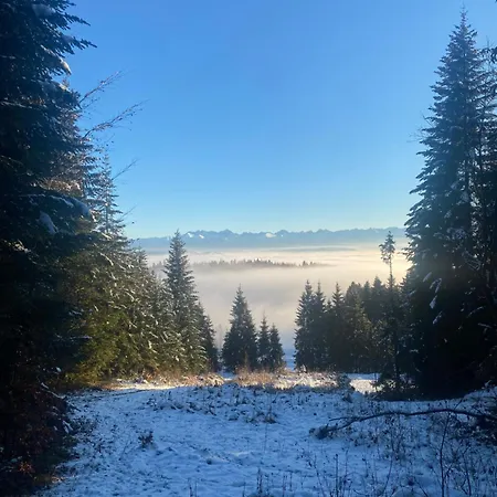 Daire W Gorach Gorce Nowy Targ