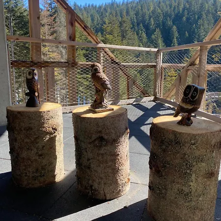 W Gorach Gorce * Nowy Targ