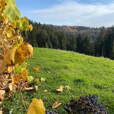 Appartement W Gorach Gorce *