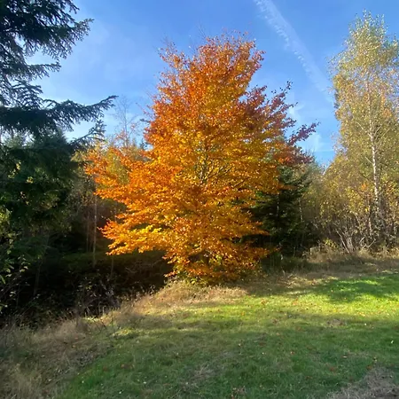 W Gorach Gorce Nowy Targ