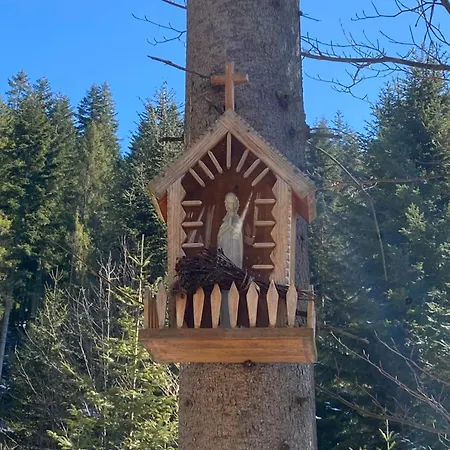 W Gorach Gorce Daire