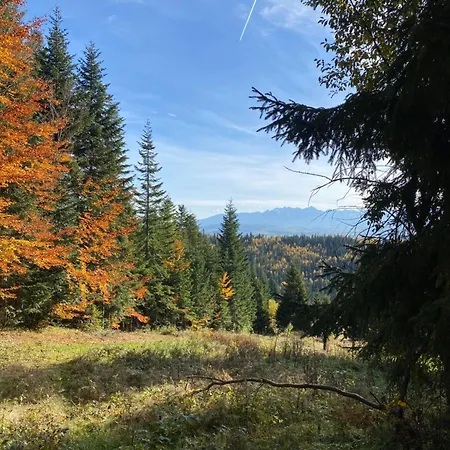 Appartement W Gorach Gorce