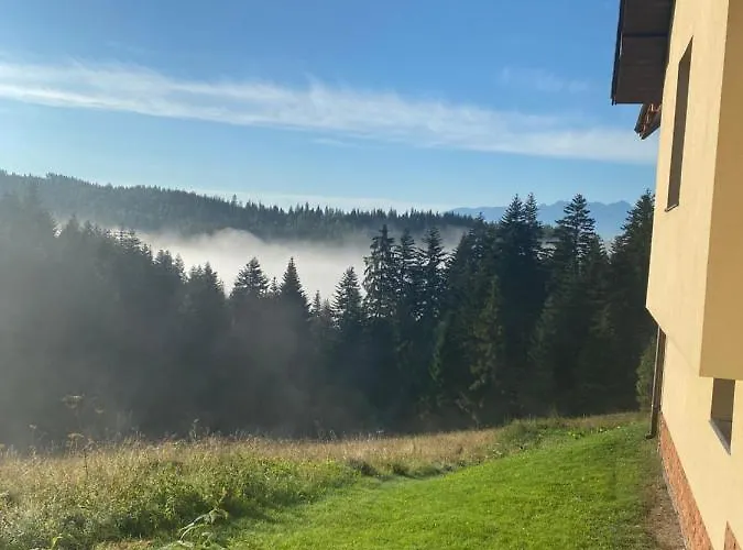 W Gorach Gorce Daire *