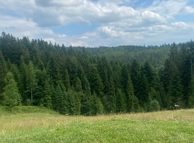 公寓 W Gorach Gorce