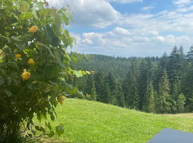 W Gorach Gorce Daire