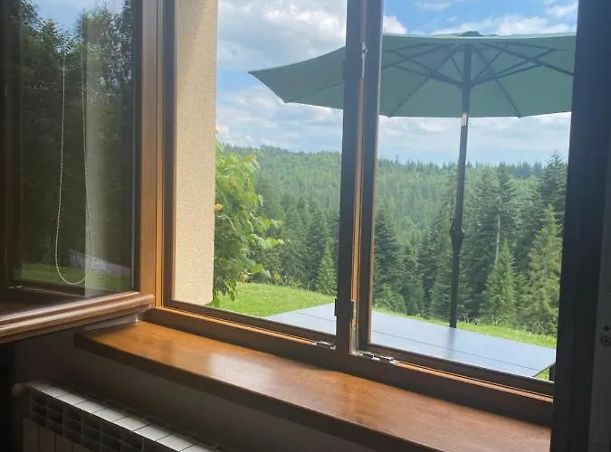 W Gorach Gorce 公寓 *