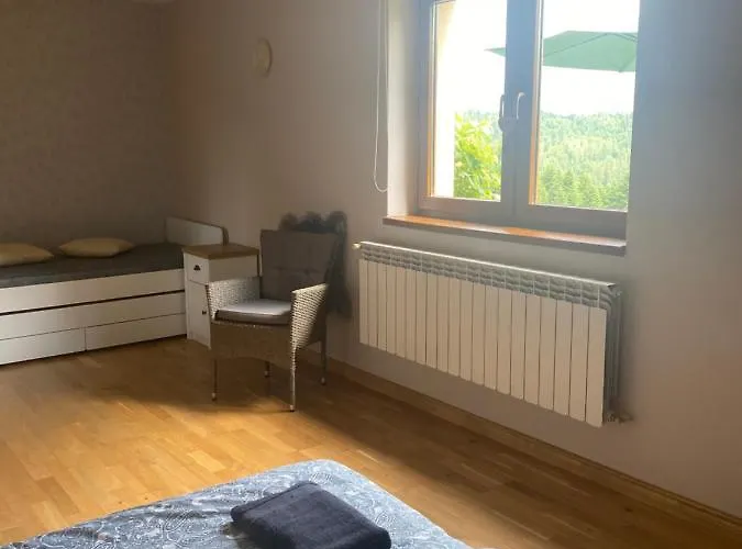 W Gorach Gorce 公寓 新塔尔格