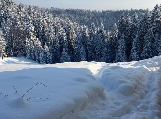 W Gorach Gorce דירה