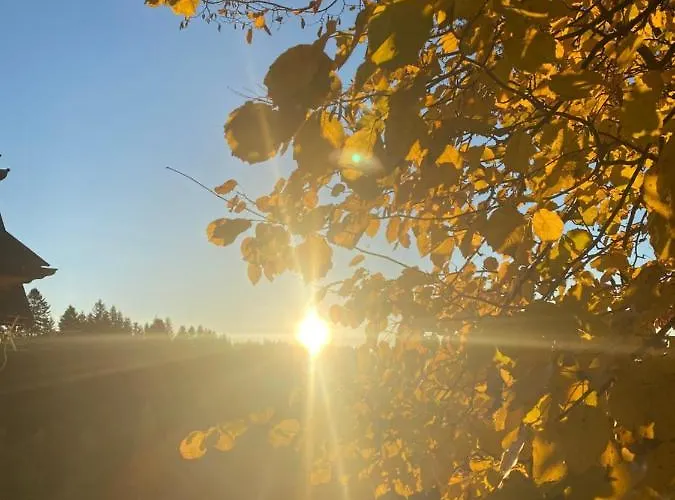 W Gorach Gorce 公寓