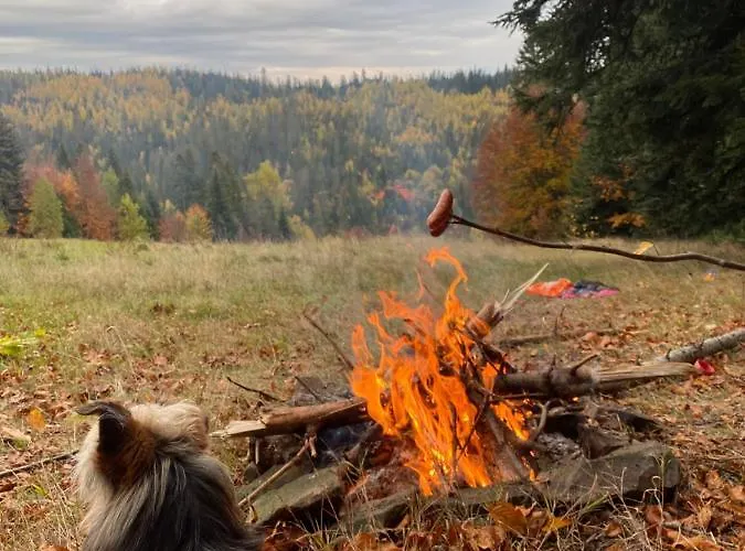 W Gorach Gorce * 新塔尔格