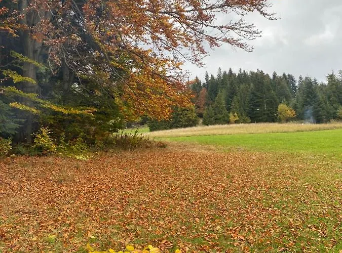 公寓 W Gorach Gorce