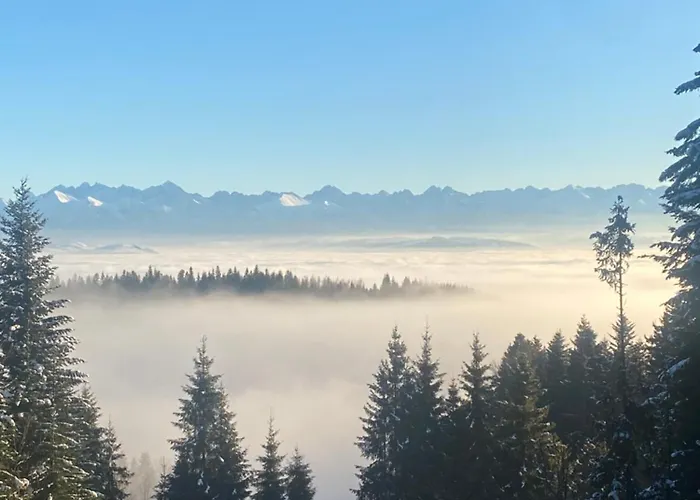 W Gorach Gorce 新塔尔格