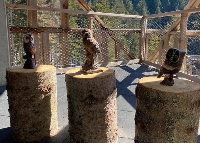 W Gorach Gorce * נובי טארג