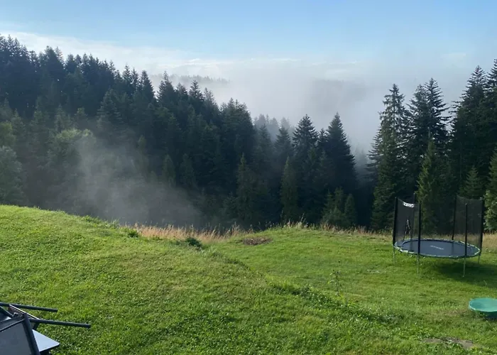 W Gorach Gorce 公寓 *