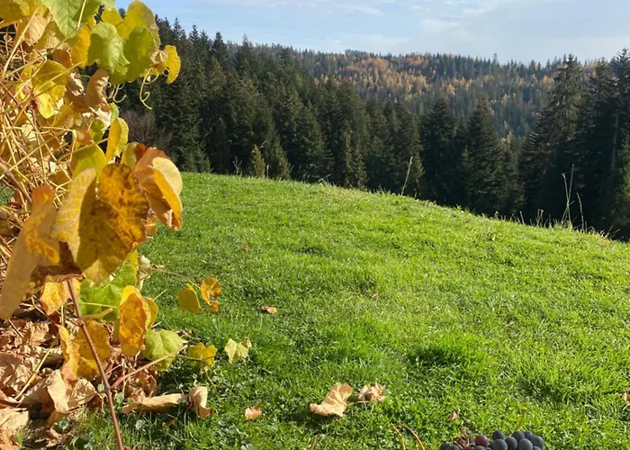 公寓 W Gorach Gorce *