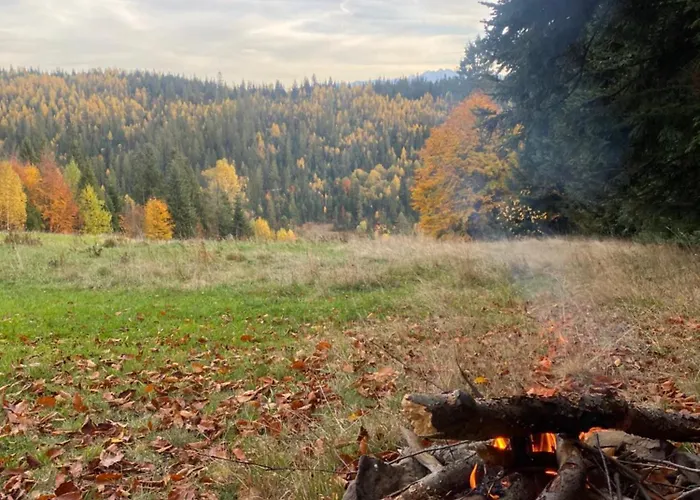 דירה W Gorach Gorce נובי טארג