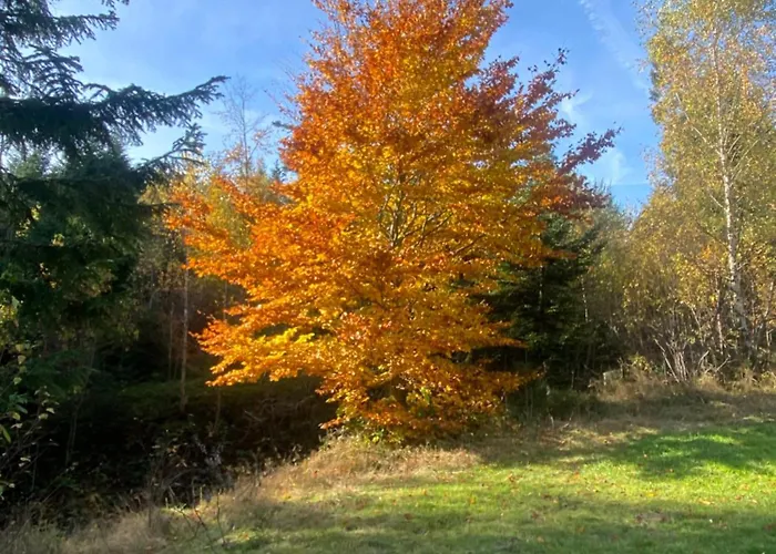 W Gorach Gorce נובי טארג