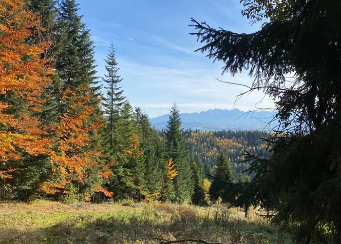 公寓 W Gorach Gorce