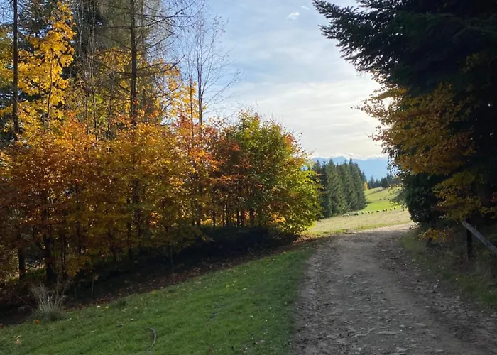 公寓 W Gorach Gorce 新塔尔格